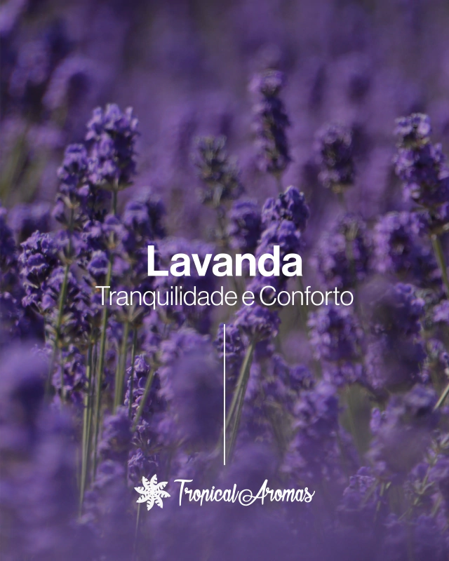 Tropical Aromas - Perfume de Ambiente Lavanda 240ml